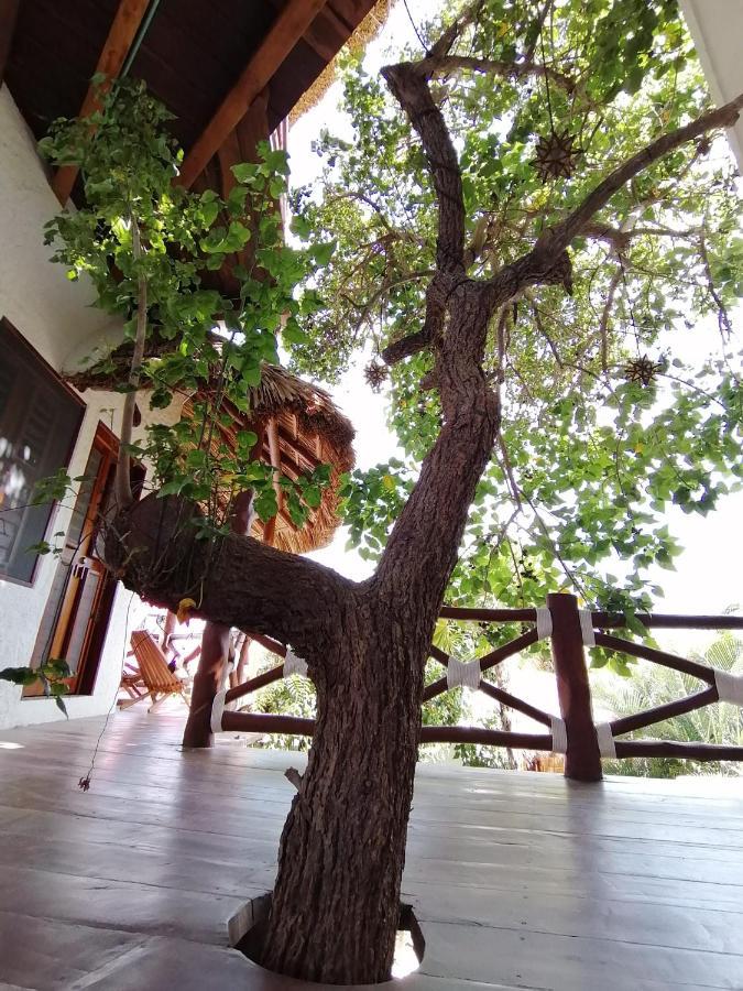 Casa Mech Hotel Isla Holbox Екстериор снимка